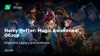 Photo of Harry Potter: Magic Awakened: Обзор